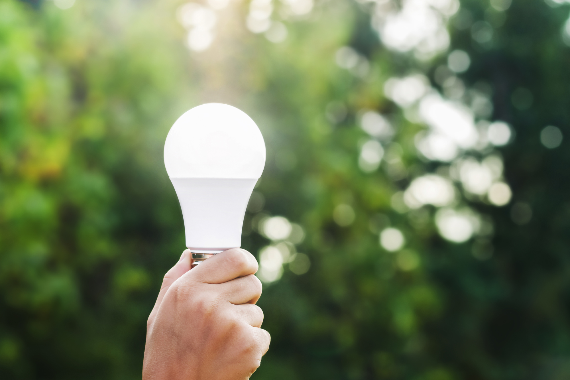 LED light bulb held in hand with green foliage background